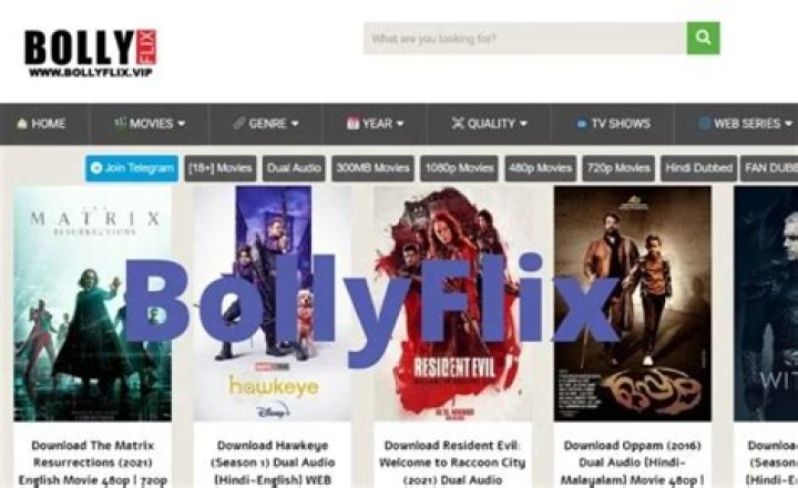Finding Bollywood Favorites: What You Need to Know About Bollyflix HD