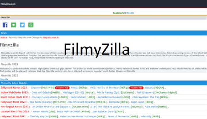 Finding New South Movies 2025: What Filmyzilla Offers and Potential Risks