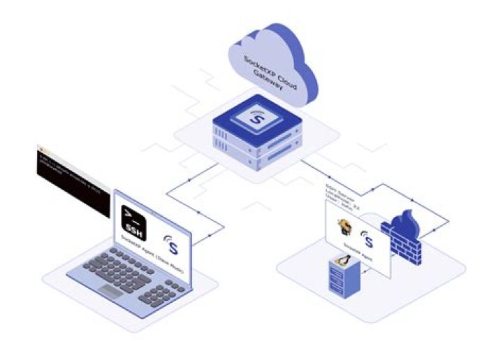 Finding the Best Remote SSH Login IoT Server for Secure Device Access