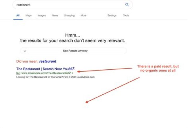 Frustrated? No Google Results? Fixes & Tips for "We did not find results..."
