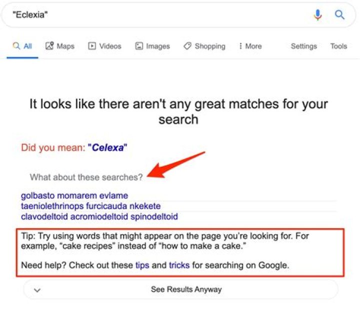 Frustrating Google Searches? Try These Tips When "No Results" Appear