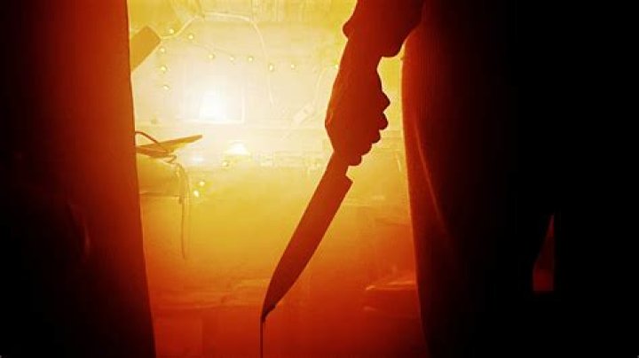 Gore Video Site Content: What to Know About Disturbing Online Material