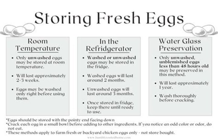 Hard Cooked Egg Shelf Life: A Comprehensive Guide to Maximizing Freshness