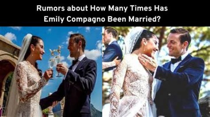 How Many Times Has Emily Compagno Been Married