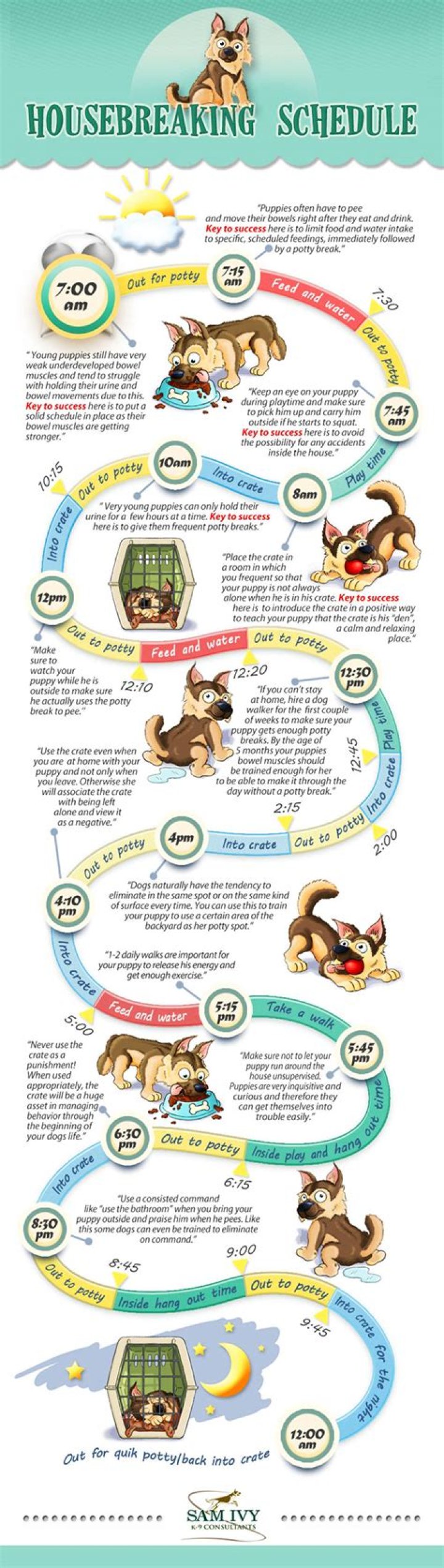 How to Successfully Housebreak an Adult Dog: A Comprehensive Guide