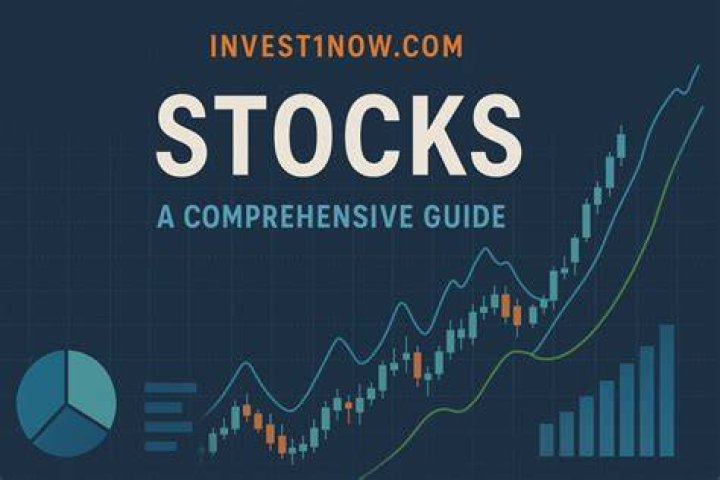 Invest1now.com Stocks: The Ultimate Guide to Smart Investing
