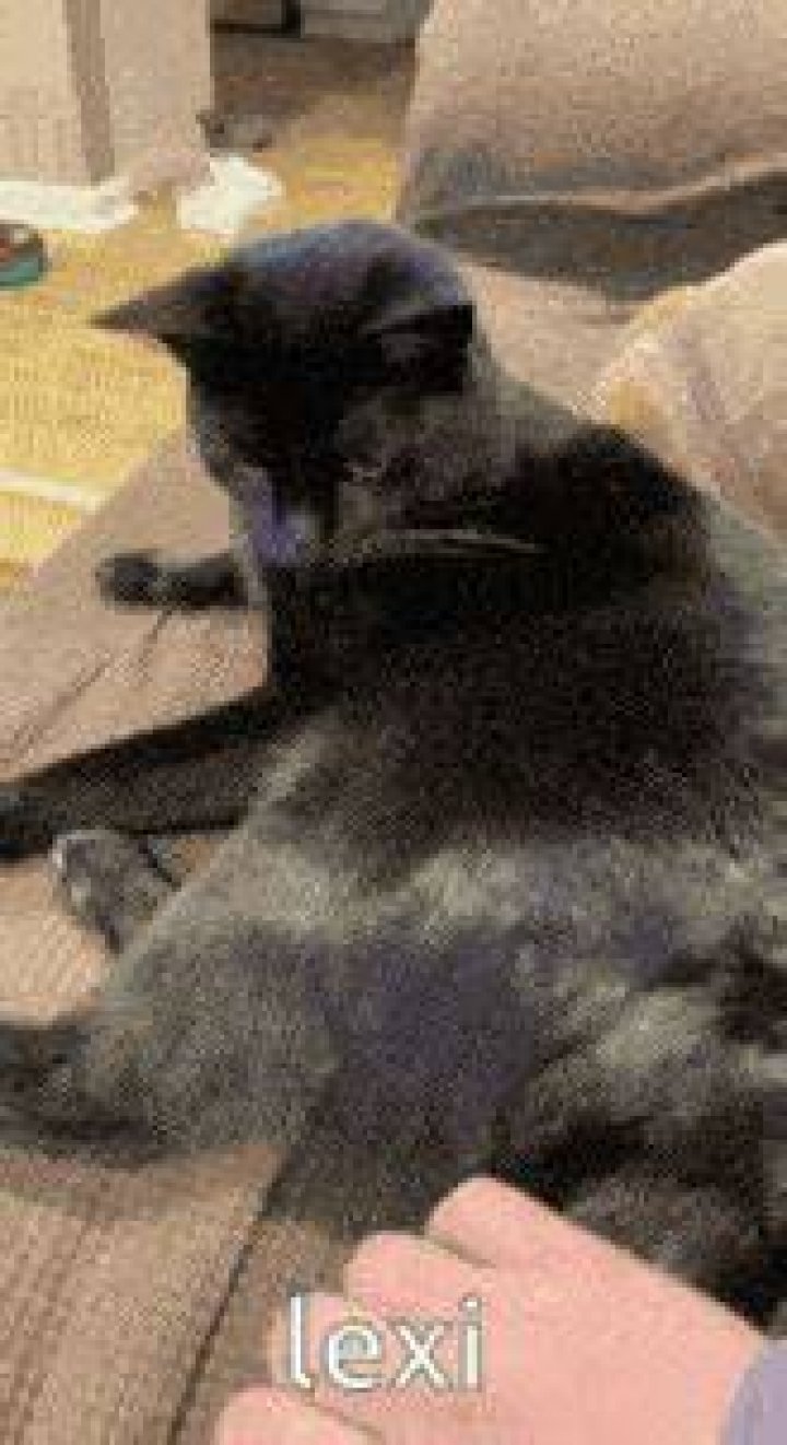 Lexi Luna Gif