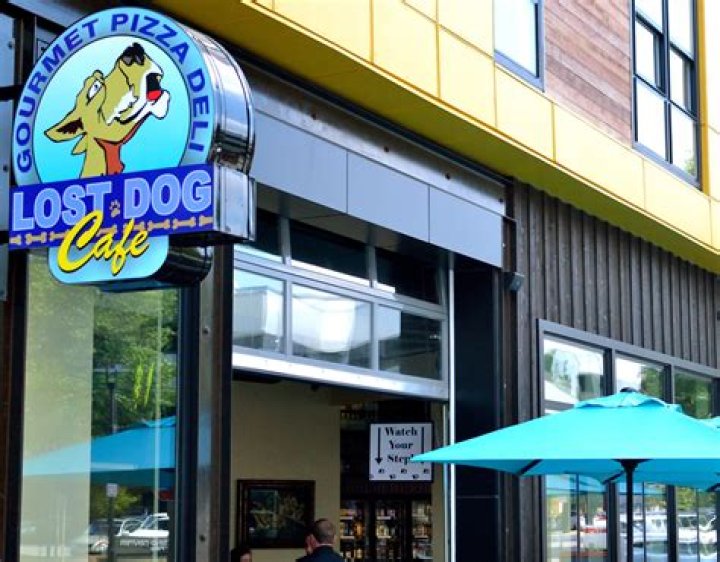 Lost Dog Cafe Alexandria Virginia: A Haven for Coffee Lovers and Dog Enthusiasts