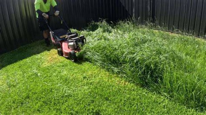 Mastering arc018: Your Guide to Mowing Wet Grass Without the Hassle