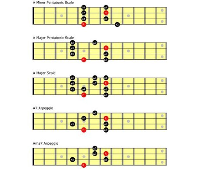 Mastering the Fieldy Bass Guitar: A Comprehensive Guide for Enthusiasts