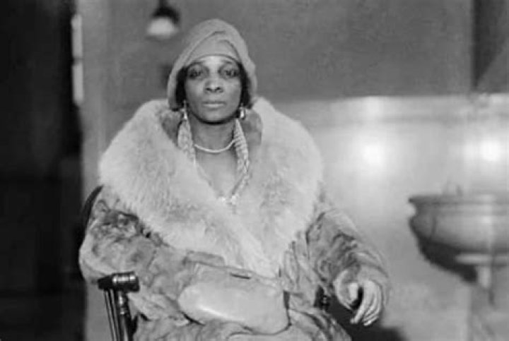 Mayme Hatcher Johnson Net Worth: Exploring a Legacy of Influence