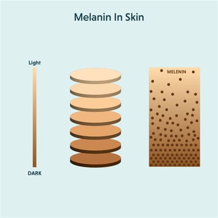 Melanin Trending Video: Discovering the Beauty and Science of Our Natural Pigment