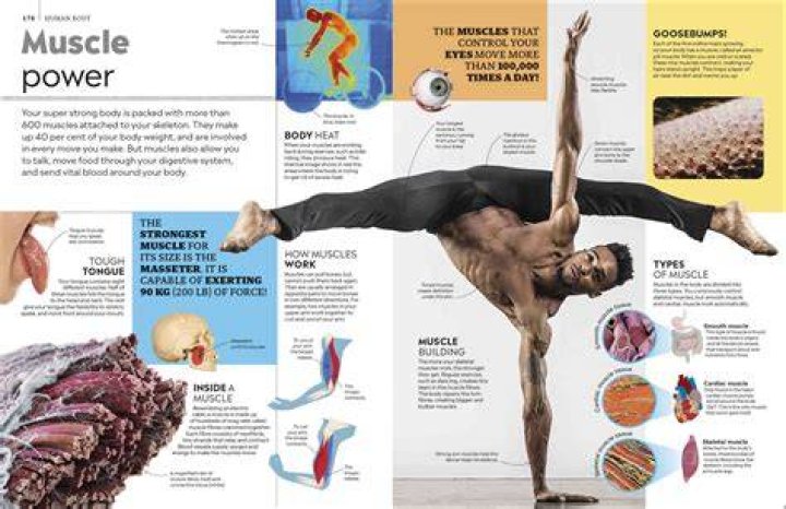 Miaz Girthmaster: The Ultimate Guide to the Revolutionary Fitness Equipment