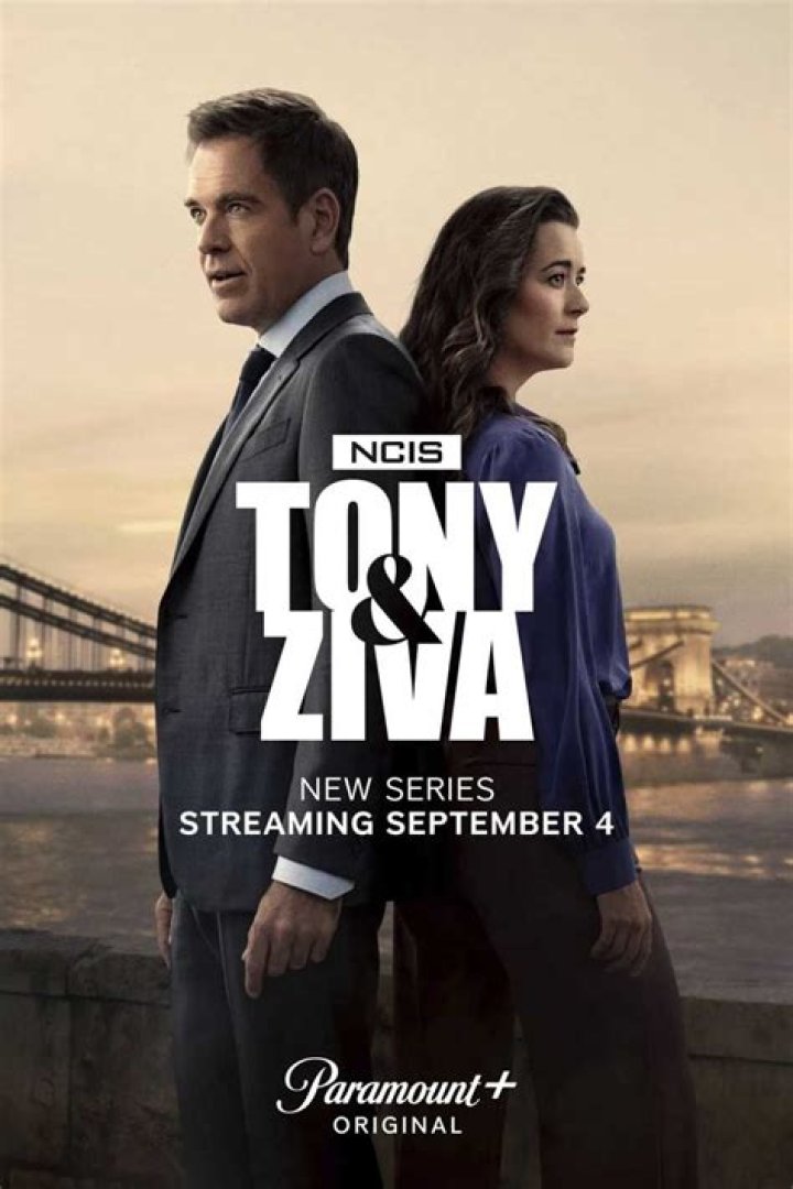 Michael Weatherly: The Story Behind Tony DiNozzo's NCIS Exit and What's Next