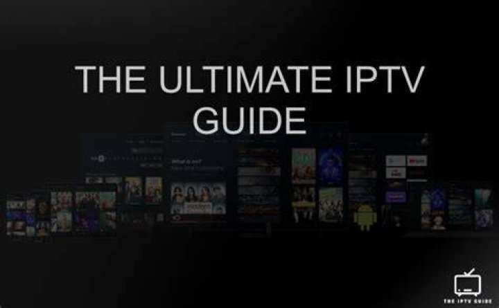 MKVMoviesPoint 2024: The Ultimate Guide to Downloading Movies Online