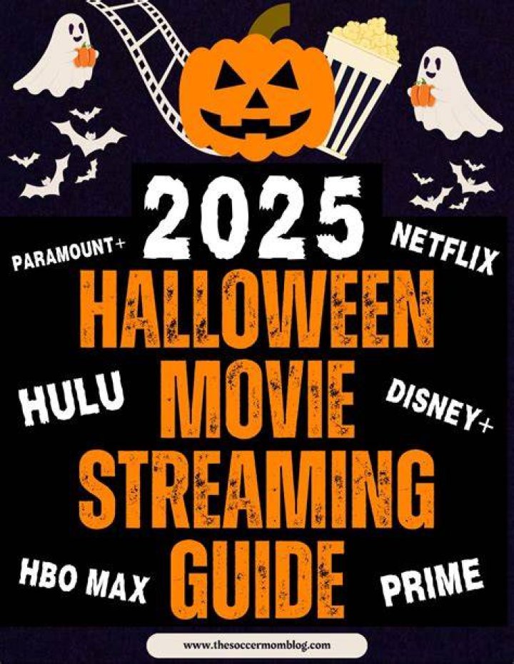 movierulz2024: Your Ultimate Guide to Movie Streaming in 2024