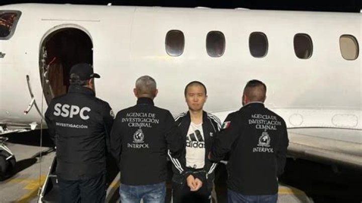 Necati Arabaci Mafia: Uncovering the Story of a Notorious Figure