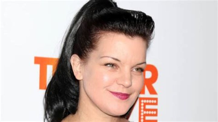 Pauley Perrette's Career Shift: Why NCIS' Star Has Decided She's Done with Acting