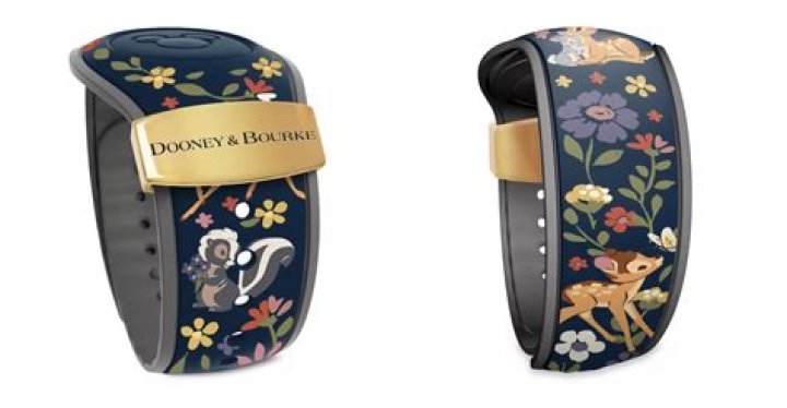 Premium Dooney &amp; Bourke for Disney Magic: A Comprehensive Guide