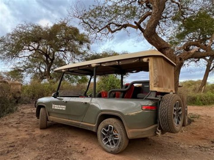 Rafian Safari: Discovering Bespoke Adventures for Today's Travelers