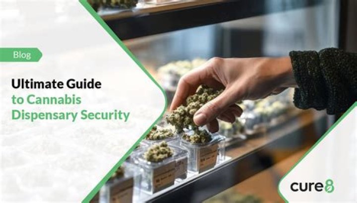 Rise Dispensary Hagerstown: Your Ultimate Guide to Quality Cannabis