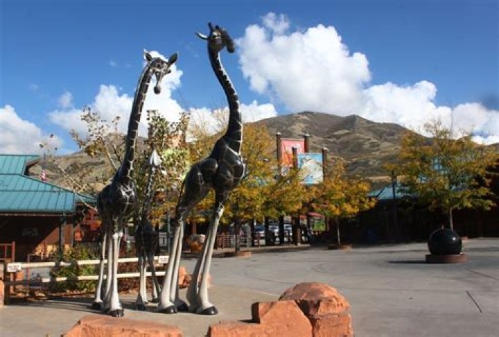 Salt Lake City Zoo: A Thrilling Exploration of Nature and Wildlife