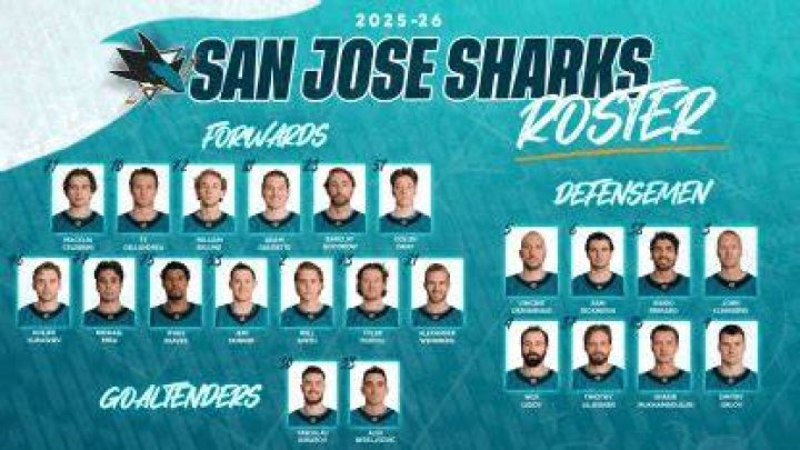 San Jose Sharks Roster: Your Ultimate Guide to the Team's Lineup and Players