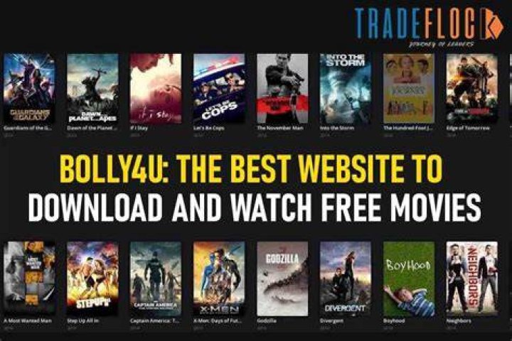 Search Issues & Free Movies: Explore Bolly4u Alternatives