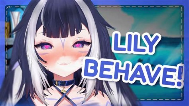 Shylily Face Leak: What It Means for VTuber Privacy Today