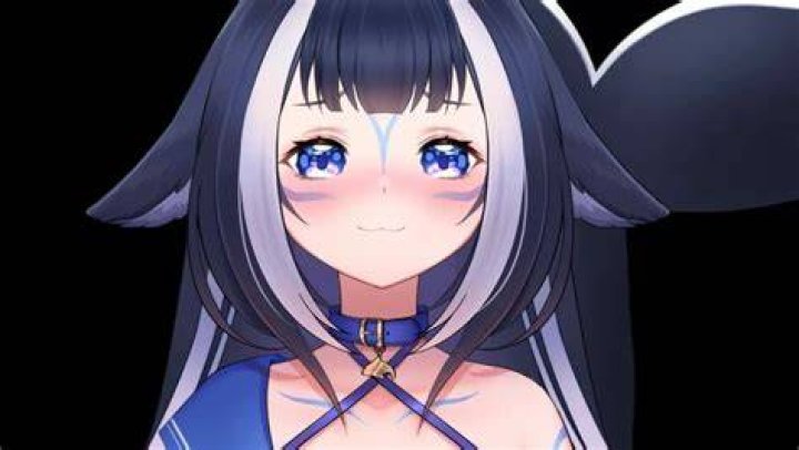 Shylily IRL Face: The Enduring Mystery of the VTuber's Real Appearance