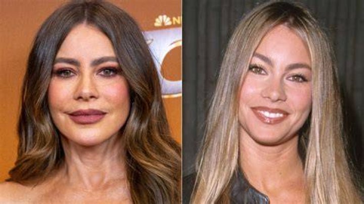 Sofia Vergara Natural Hair Colour: Discovering the Iconic Look