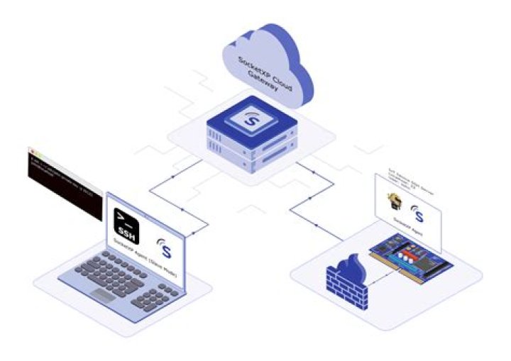 Ssh Web Access Iot Devices Free