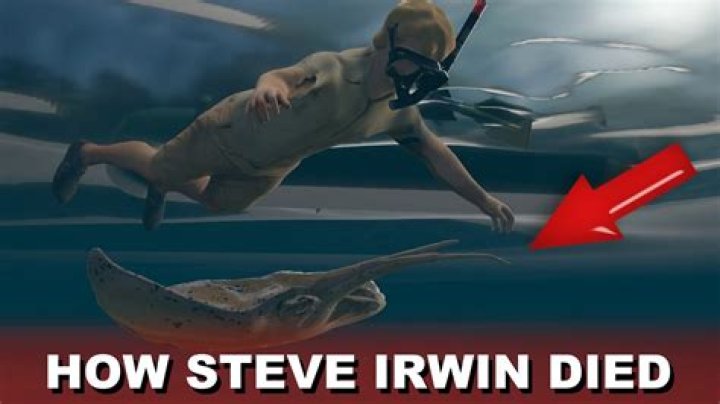 Steve Irwin Death Tape: Unpacking the Footage and Its Legacy