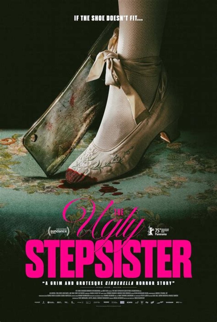 Strictly Her Stepsister: A Comprehensive Guide to Understanding and Exploring the Dynamics