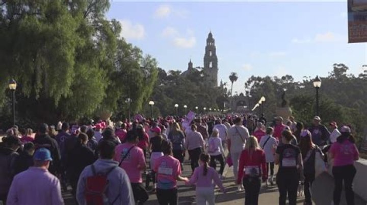 Susan G Komen Walk 2025 Schedule: Everything You Need to Know