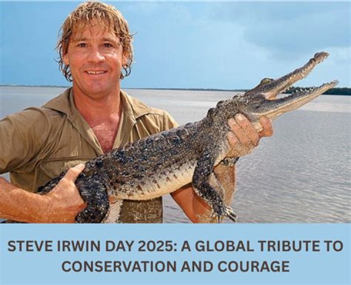 The Inspiring Timeline of Steve Irwin: A Legendary Conservationist's Journey