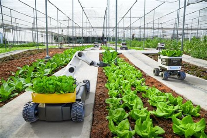 The Poet's Bridge Tus: Connecting Agriculture, Innovation, and a Greener Tomorrow