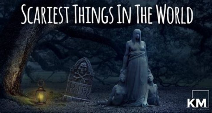 The Scariest Picture in the World: A Journey into Fear and Human Psychology