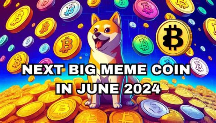 The Search for the Next Big Meme Coin: What to Look For Right Now