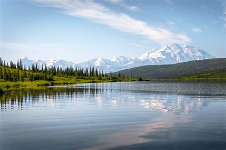 The Unveiled Majesty: Exploring Denali's Natural Forms and "Aspen Nudes"