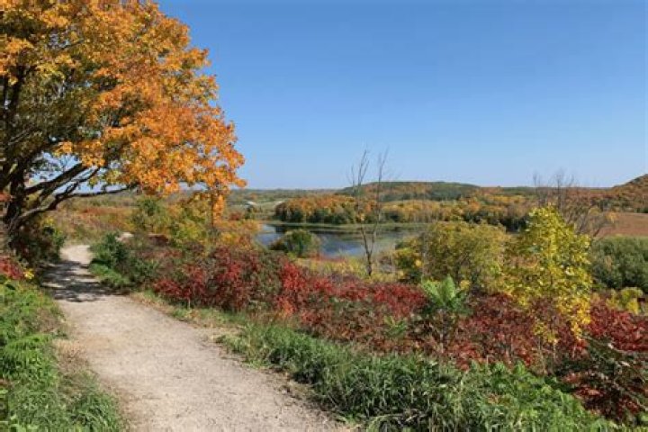 Top Things to Do in Maplewood MN: Your Ultimate Guide