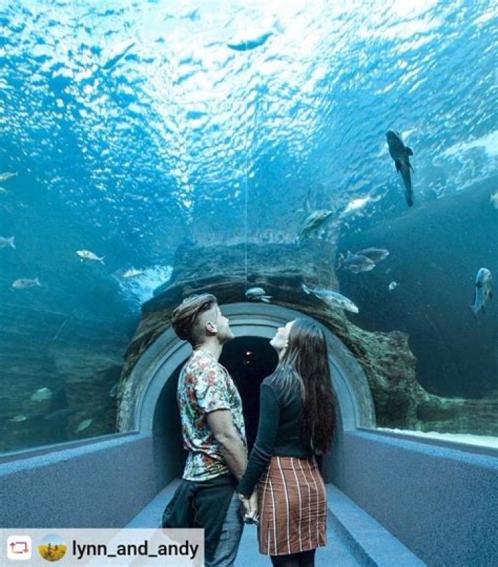 Two Oceans Aquarium: A Gateway to the Wonders of South Africa's Marine Life