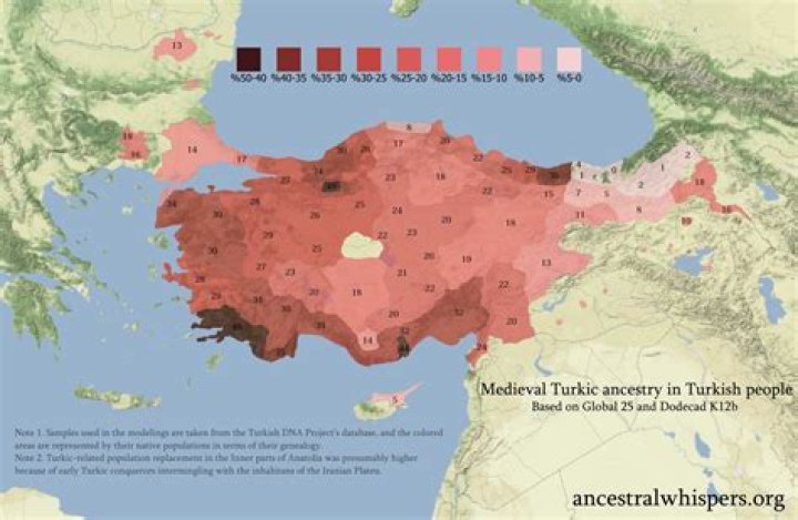 Uncovering Turkish Heritage: Digital Pathways and Insights (Türk Ifşa Sotwe)