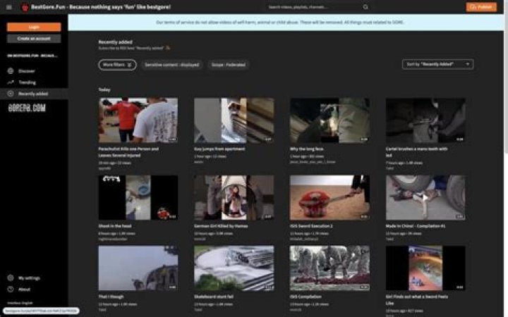 Understanding Gore Sites: A Look at Graphic Content Online