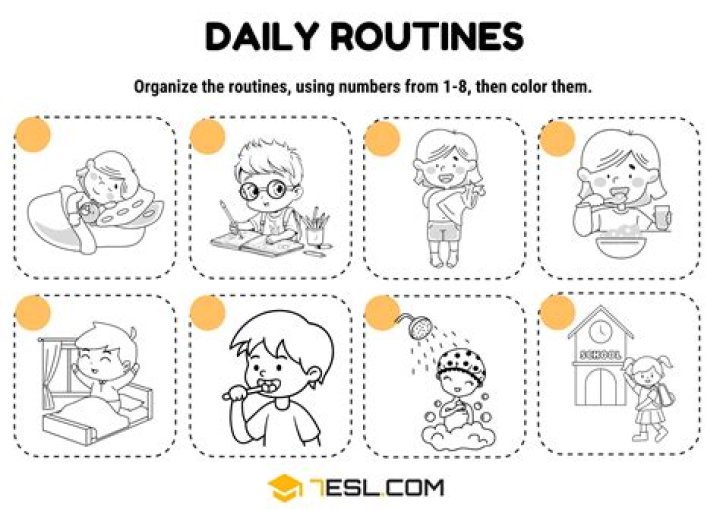 Understanding **mmsdose**: Making Sense of Daily Routines