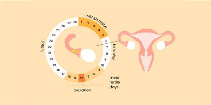 Understanding the 49-Day Period: A Comprehensive Guide