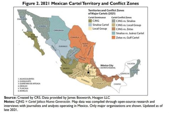 Understanding the Impact of Worst Cartel Videos in Today's Digital World
