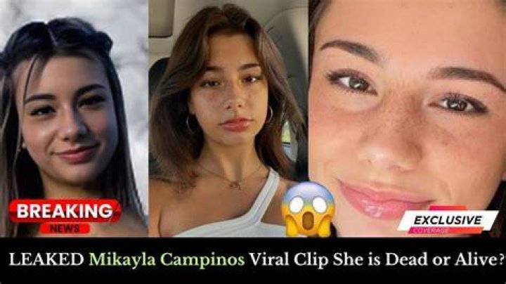 Understanding the Mikaylacampinos Leak: What it Means for Online Information