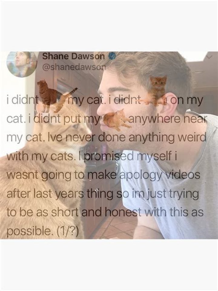 Understanding the Shane Dawson Cat Allegations: What Happened and Why It Matters