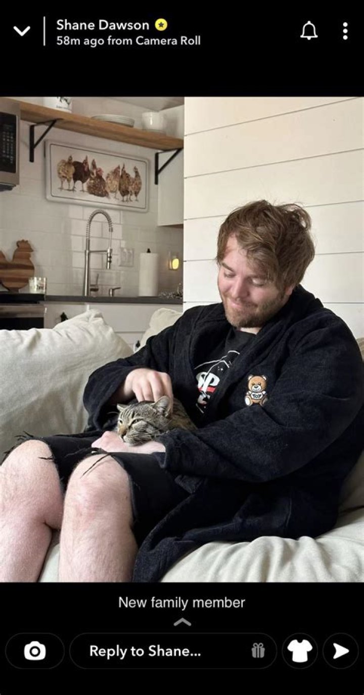 Understanding the Shane Dawson Cat Controversy: A Look Back at a Viral Moment
